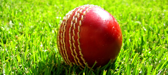 Ilford Cricket School